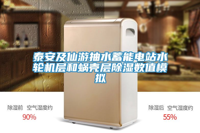 泰安及仙游抽水蓄能電站水輪機層和蝸殼層除濕數值模擬