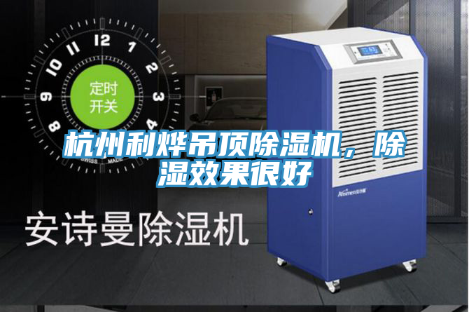 杭州利燁吊頂除濕機，除濕效果很好