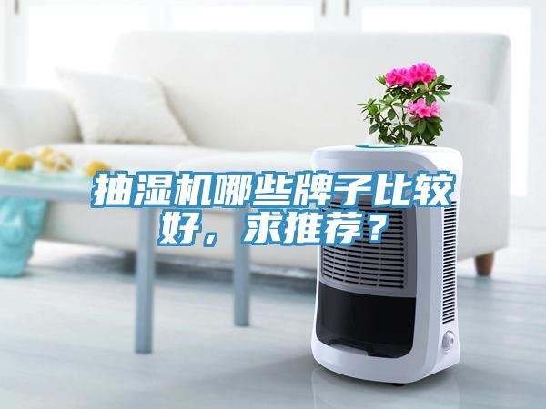 抽濕機哪些牌子比較好，求推薦？
