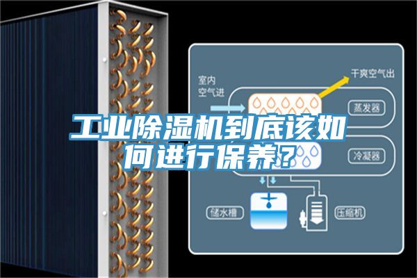 工業除濕機到底該如何進行保養？