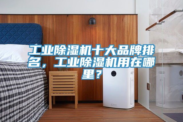 工業除濕機十大品牌排名，工業除濕機用在哪里？