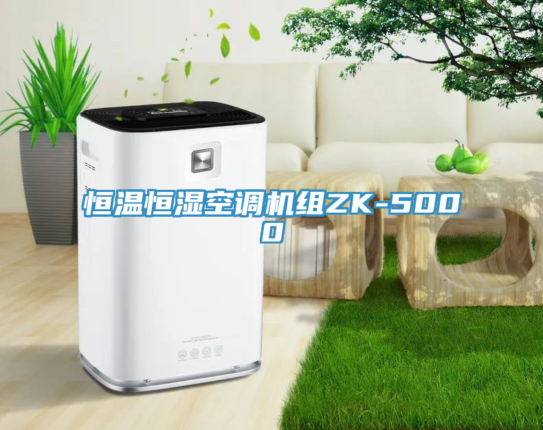 恒溫恒濕空調機組ZK-5000