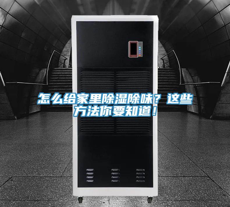 怎么給家里除濕除味？這些方法你要知道！