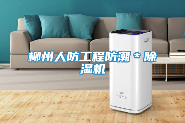 柳州人防工程防潮＊除濕機
