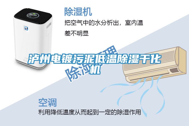 瀘州電鍍污泥低溫除濕干化機