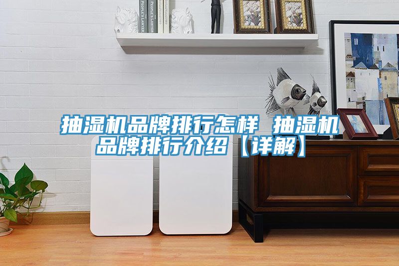 抽濕機品牌排行怎樣 抽濕機品牌排行介紹【詳解】