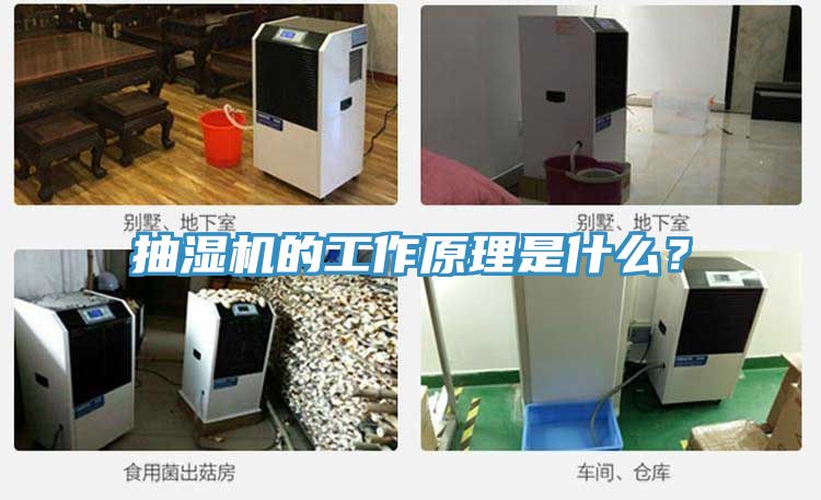 抽濕機的工作原理是什么？