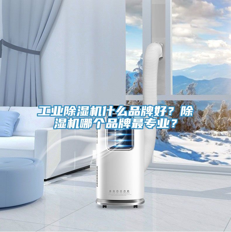 工業除濕機什么品牌好？除濕機哪個品牌最專業？