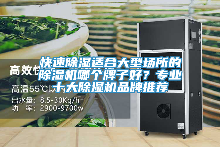 快速除濕適合大型場所的除濕機哪個牌子好？專業十大除濕機品牌推薦