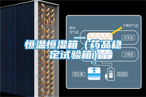 恒溫恒濕箱（藥品穩定試驗箱）