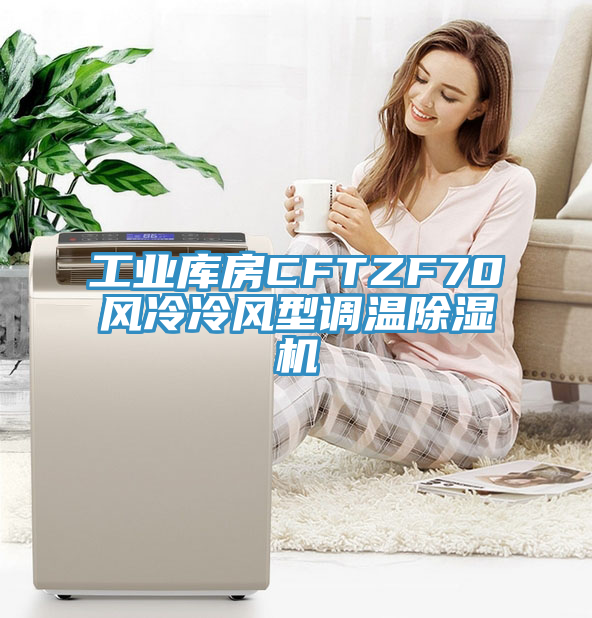 工業庫房CFTZF70風冷冷風型調溫除濕機