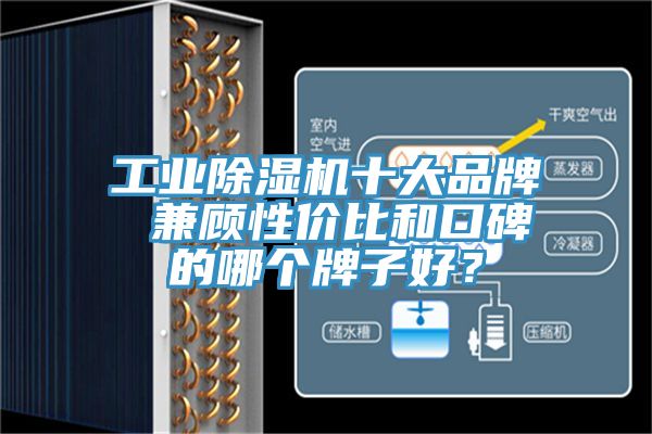 工業除濕機十大品牌 兼顧性價比和口碑的哪個牌子好？