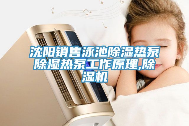 沈陽銷售泳池除濕熱泵除濕熱泵工作原理,除濕機