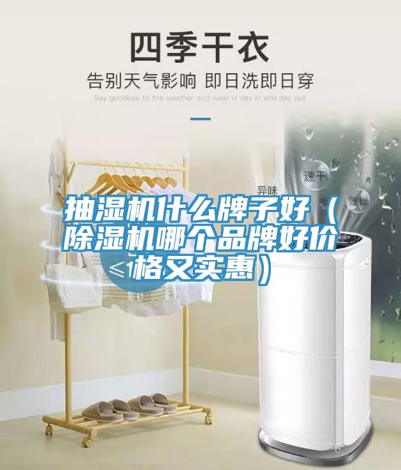 抽濕機什么牌子好（除濕機哪個品牌好價格又實惠）