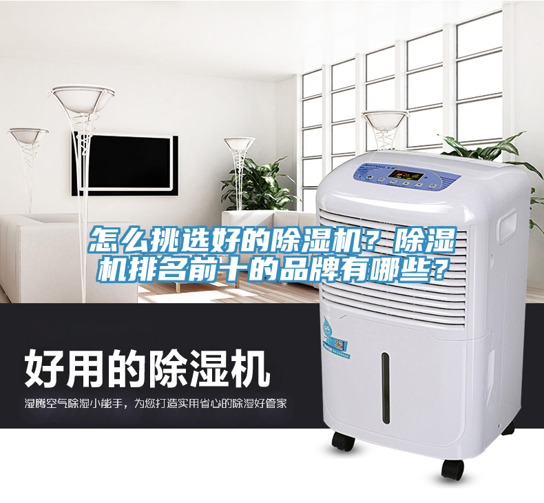 怎么挑選好的除濕機？除濕機排名前十的品牌有哪些？