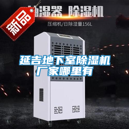 延吉地下室除濕機廠家哪里有