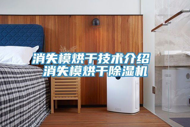 消失模烘干技術介紹 消失模烘干除濕機