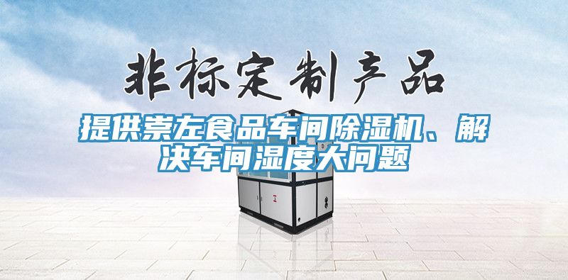 提供崇左食品車間除濕機、解決車間濕度大問題