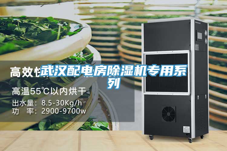 武漢配電房除濕機專用系列