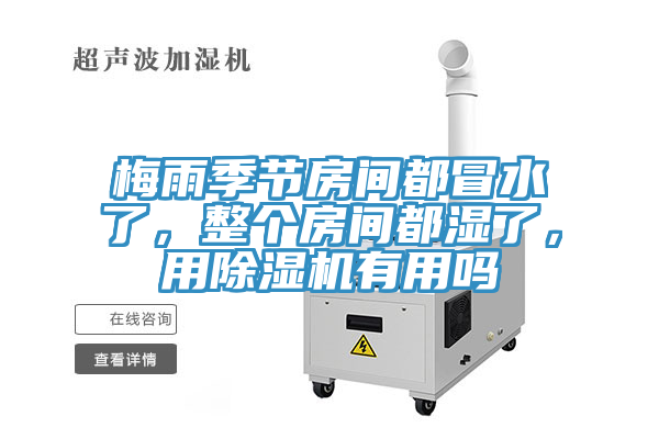 梅雨季節房間都冒水了，整個房間都濕了，用除濕機有用嗎