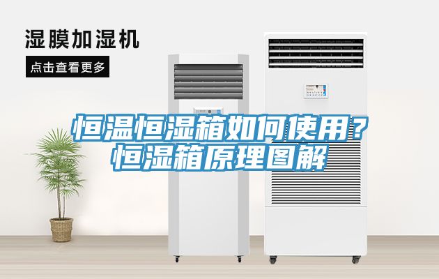 恒溫恒濕箱如何使用？恒濕箱原理圖解