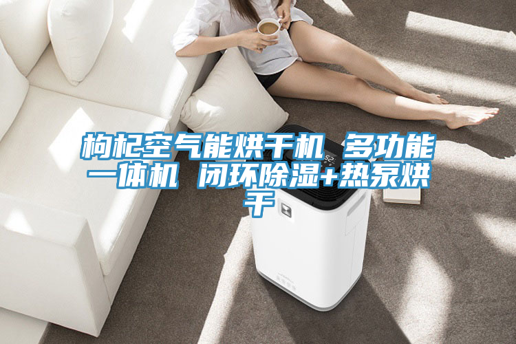 枸杞空氣能烘干機 多功能一體機 閉環除濕+熱泵烘干