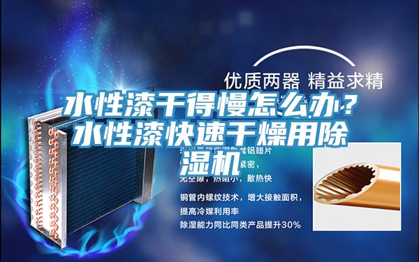 水性漆干得慢怎么辦？水性漆快速干燥用除濕機