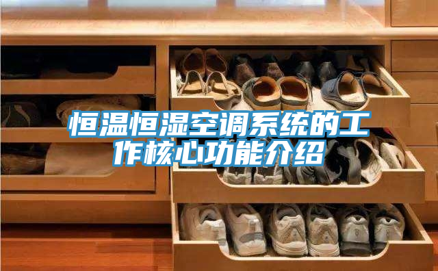 恒溫恒濕空調系統的工作核心功能介紹
