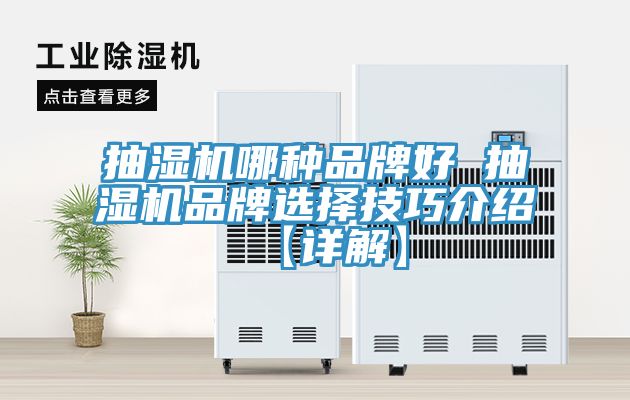 抽濕機哪種品牌好 抽濕機品牌選擇技巧介紹【詳解】