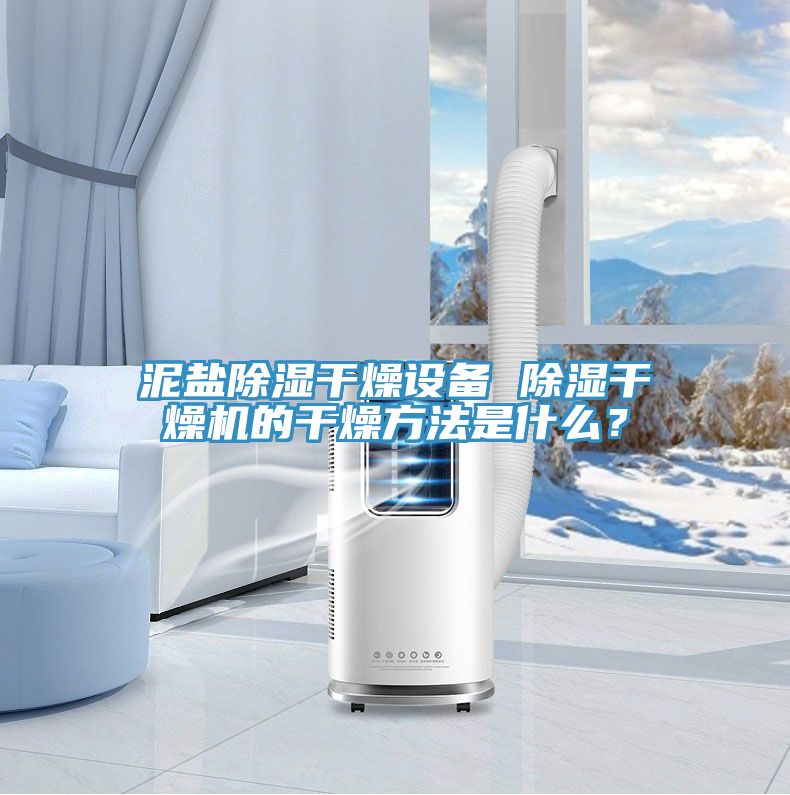 泥鹽除濕干燥設備 除濕干燥機的干燥方法是什么？