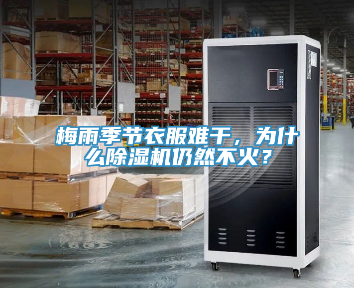 梅雨季節衣服難干，為什么除濕機仍然不火？