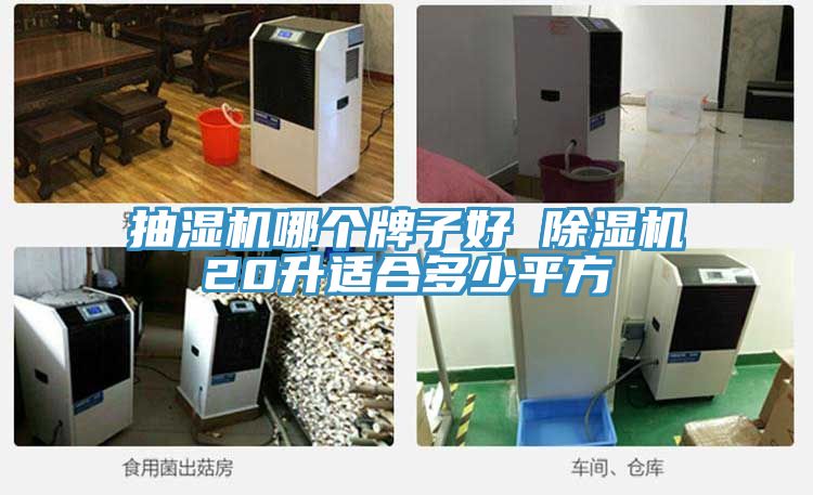 抽濕機哪個牌子好 除濕機20升適合多少平方