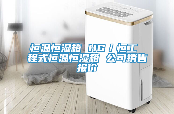 恒溫恒濕箱 HG／恒工 程式恒溫恒濕箱 公司銷售報價