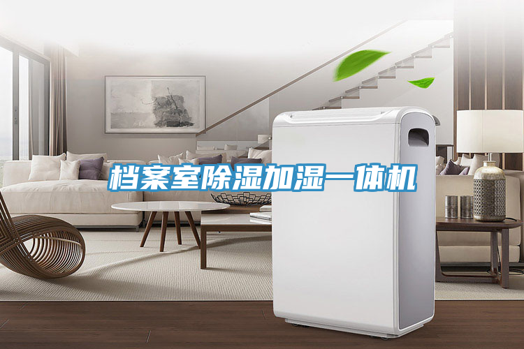 檔案室除濕加濕一體機