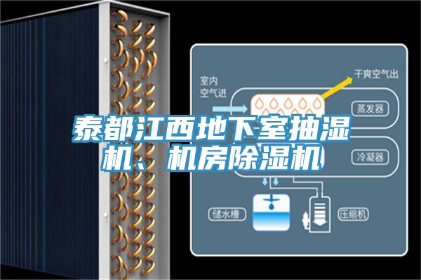 泰都江西地下室抽濕機、機房除濕機