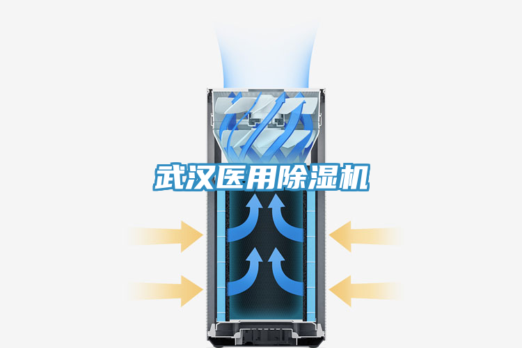武漢醫用除濕機