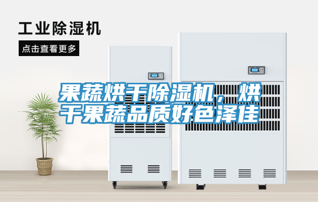 果蔬烘干除濕機，烘干果蔬品質好色澤佳