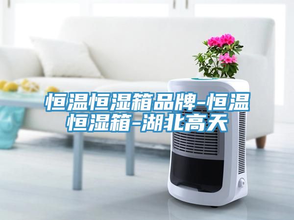 恒溫恒濕箱品牌-恒溫恒濕箱-湖北高天