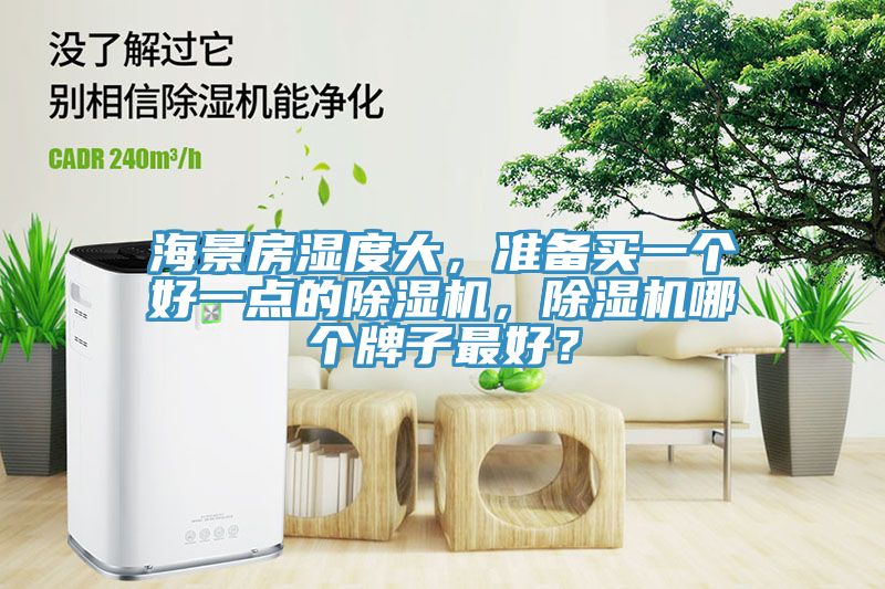海景房濕度大，準備買一個好一點的除濕機，除濕機哪個牌子最好？