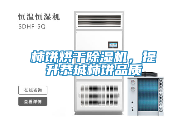 柿餅烘干除濕機，提升恭城柿餅品質