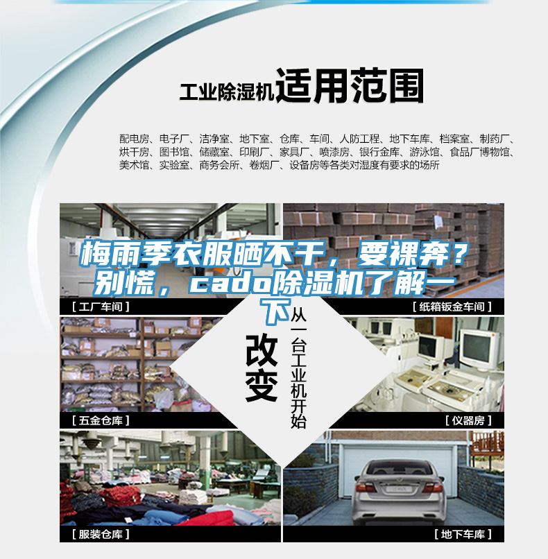 梅雨季衣服曬不干，要裸奔？別慌，cado除濕機了解一下