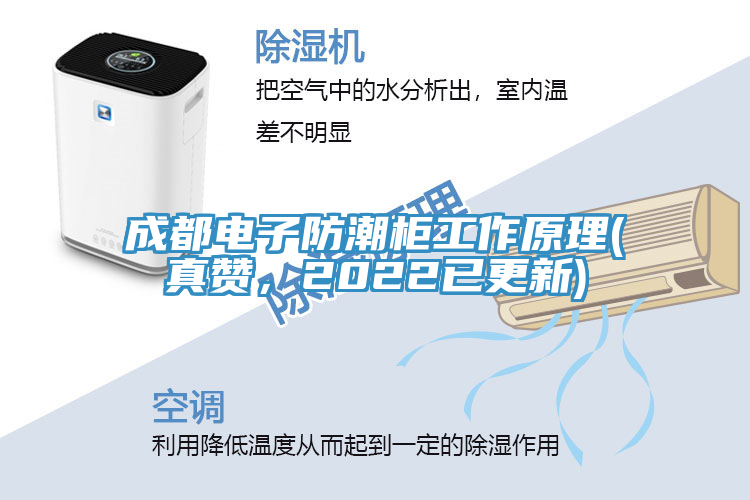 成都電子防潮柜工作原理(真贊，2022已更新)