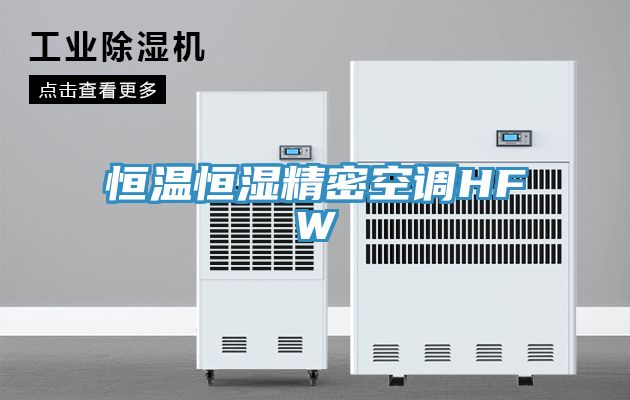 恒溫恒濕精密空調HFW