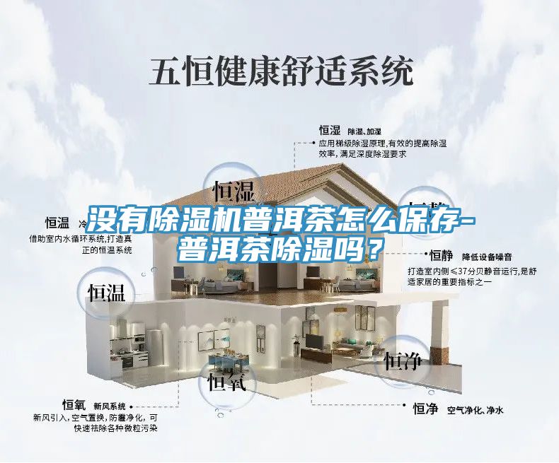 沒有除濕機普洱茶怎么保存-普洱茶除濕嗎？