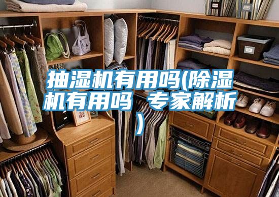 抽濕機有用嗎(除濕機有用嗎 專家解析)