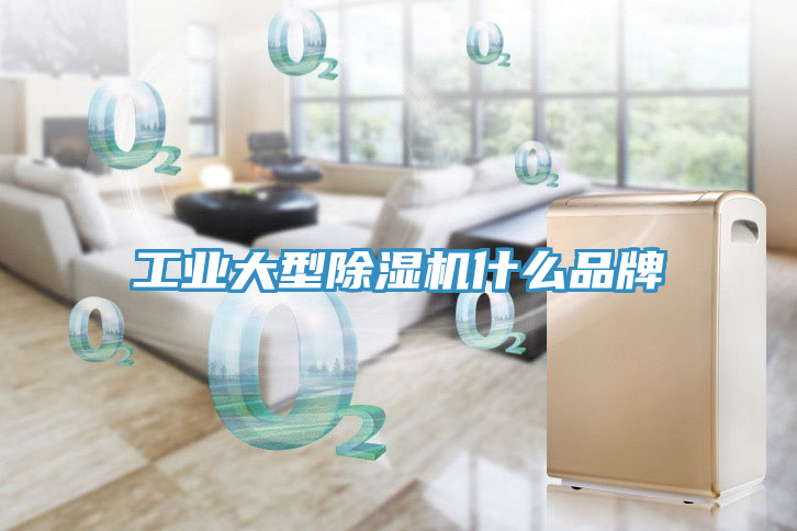 工業大型除濕機什么品牌