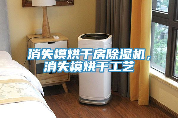 消失模烘干房除濕機，消失模烘干工藝