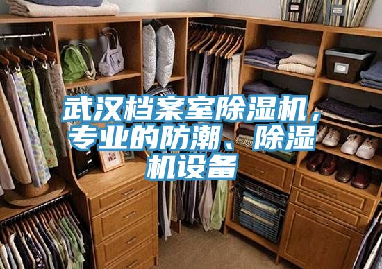 武漢檔案室除濕機，專業的防潮、除濕機設備