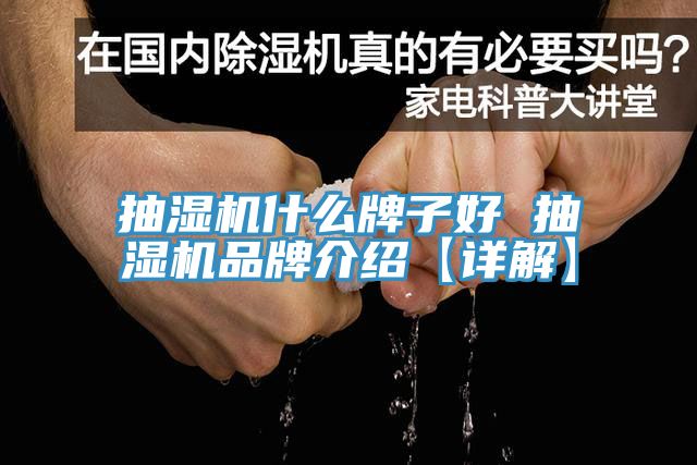 抽濕機什么牌子好 抽濕機品牌介紹【詳解】
