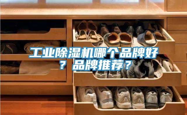 工業除濕機哪個品牌好？品牌推薦？